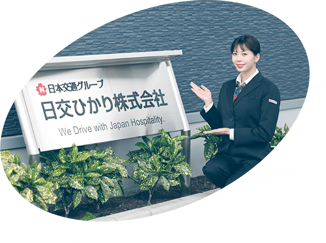 日交ひかりのイメージ
