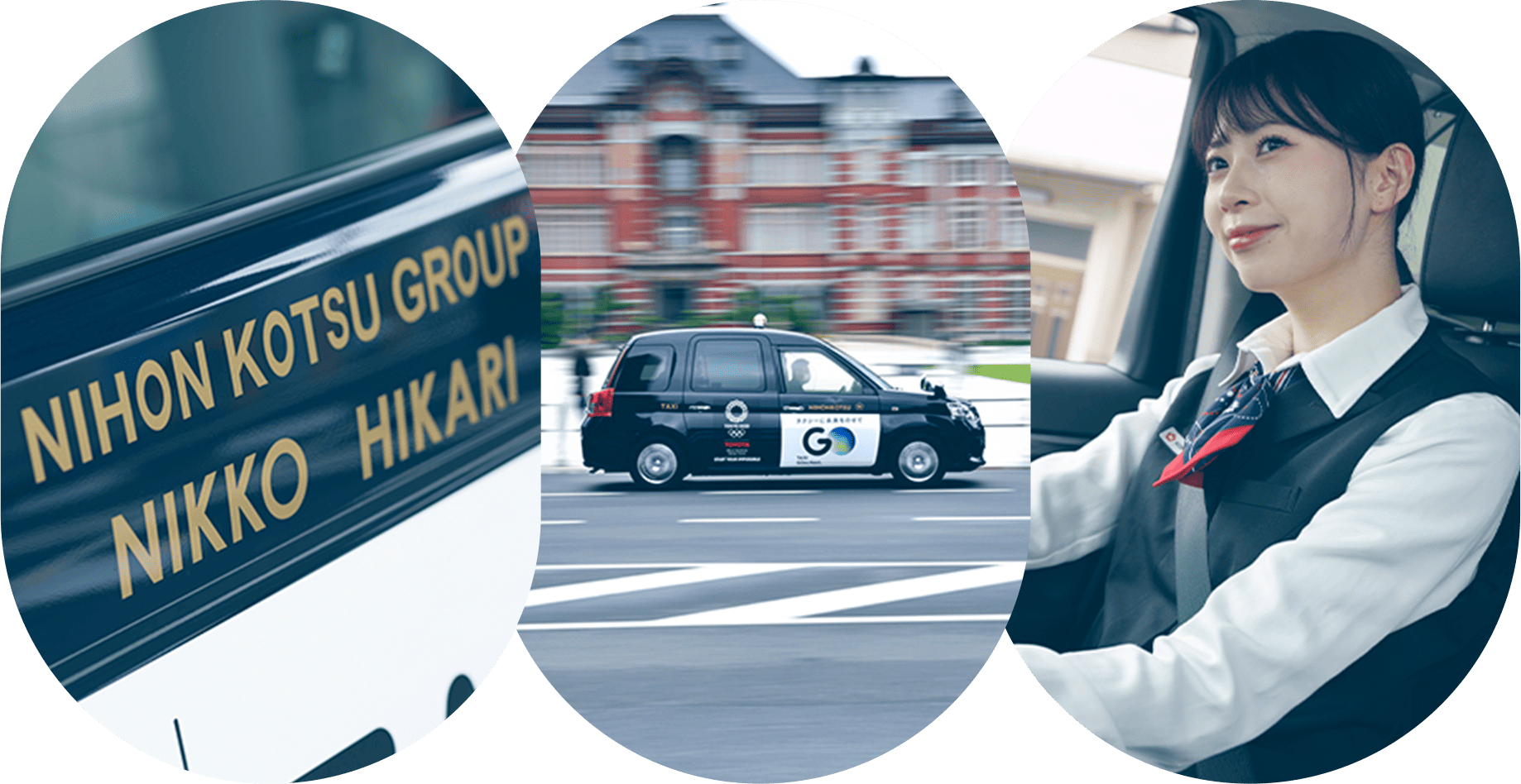 日光ひかりの会社情報
